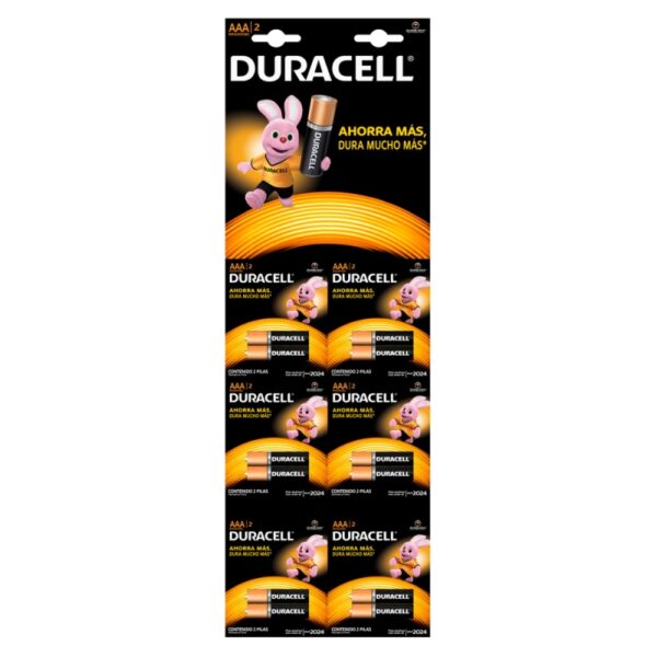 Pila Duracell Alkalina Aaa X 2 6 Und(Sf) Pilas